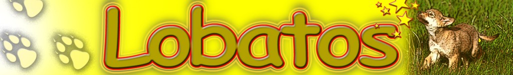 baner-lobatos-1024x150